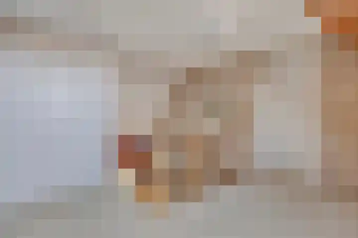 Valderseweg 7 Dwingeloo thumbnail 17