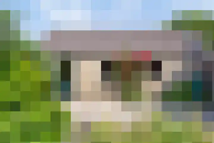 Valderseweg 7 Dwingeloo thumbnail 28