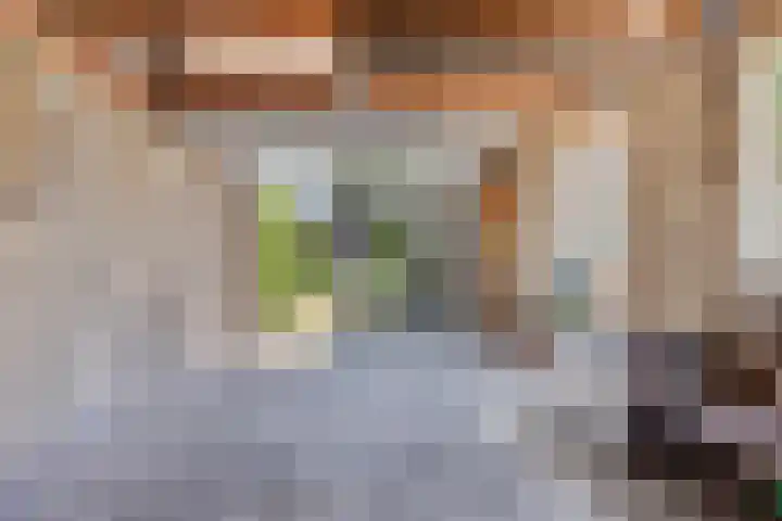 Valderseweg 7 Dwingeloo thumbnail 30