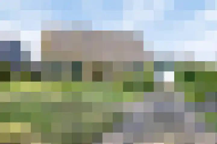 Valderseweg 7 Dwingeloo thumbnail 41