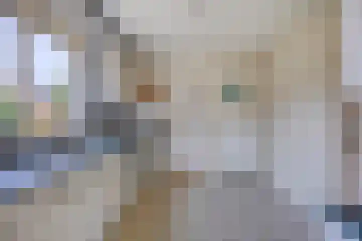 Valderseweg 7 Dwingeloo thumbnail 8