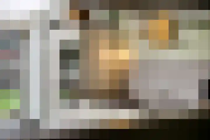 Valenberg 23 Veldhoven thumbnail 17