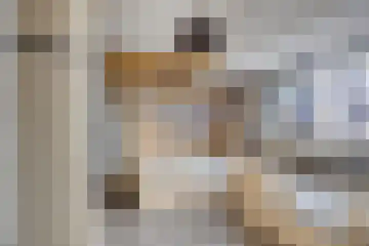 Valenberg 23 Veldhoven thumbnail 23