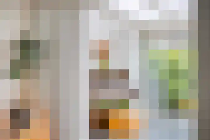 Valenberg 23 Veldhoven thumbnail 8