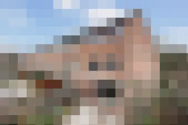Valenberg 52 Zoetermeer thumbnail 14