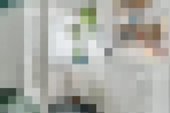 Valenberg 52 Zoetermeer thumbnail 32
