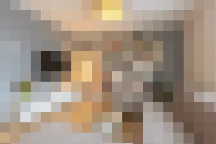 Valenberg 52 Zoetermeer thumbnail 33