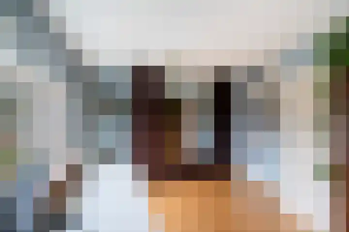 Valenberg 52 Zoetermeer thumbnail 33