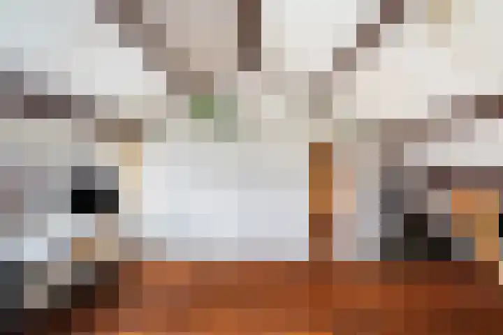 Valenberg 52 Zoetermeer thumbnail 37