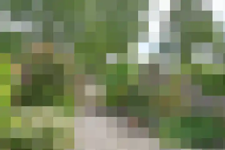 Valenberg 57 Zoetermeer thumbnail 19