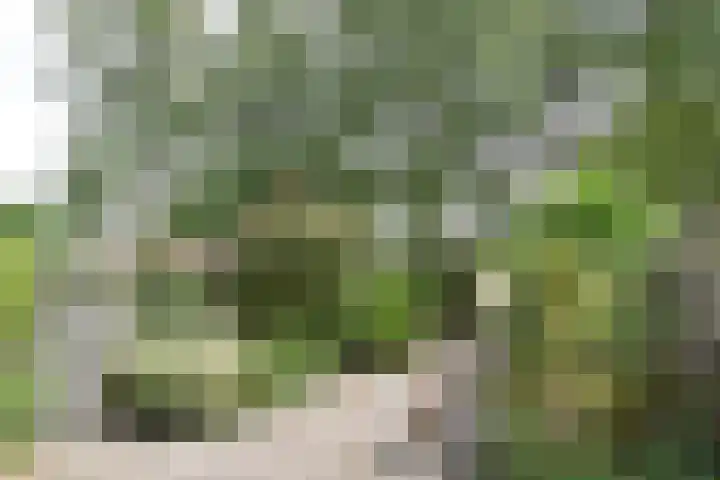 Valenberg 57 Zoetermeer thumbnail 20