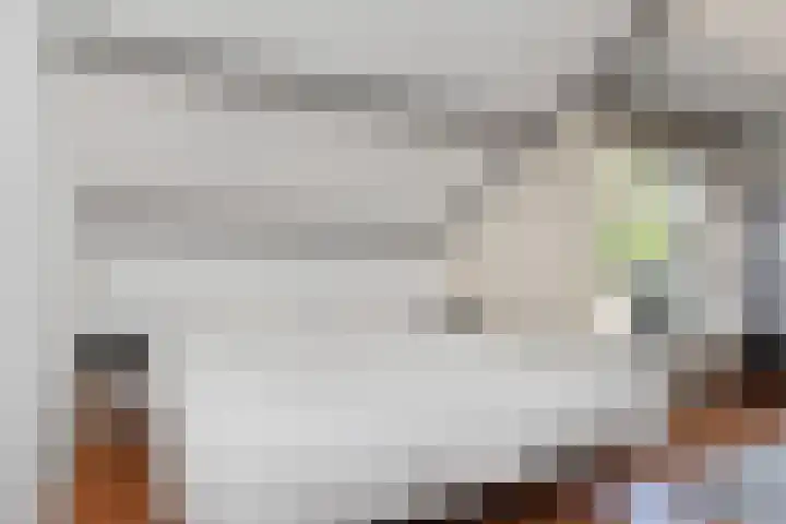 Valenberg 57 Zoetermeer thumbnail 25