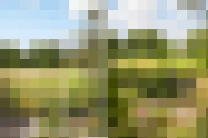 Valenberg 57 Zoetermeer thumbnail 27