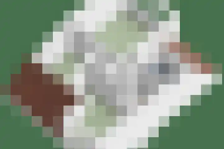 Valenberg 57 Zoetermeer thumbnail 32