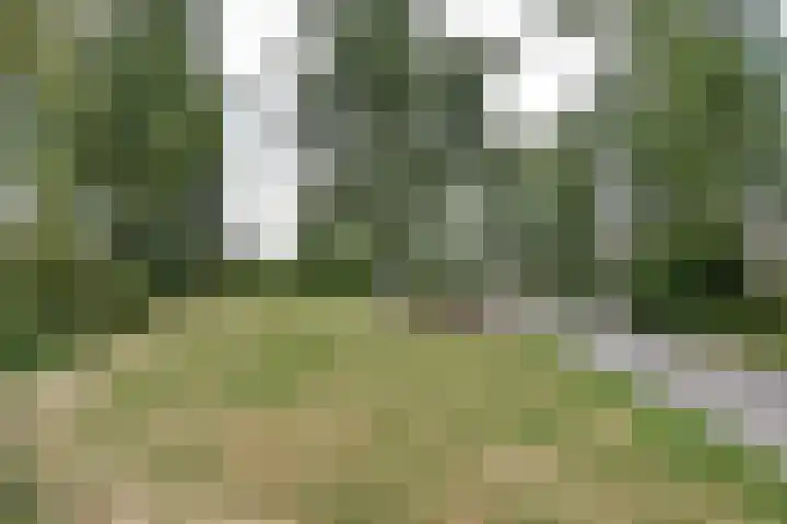 Valenberg 57 Zoetermeer thumbnail 37