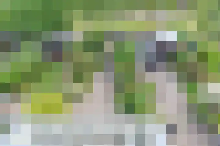 Valenberg 57 Zoetermeer thumbnail 4