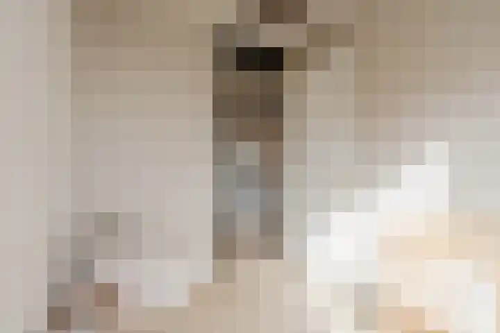 Valenberg 57 Zoetermeer thumbnail 40