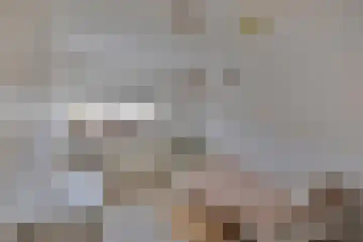 Valenberg 57 Zoetermeer thumbnail 6