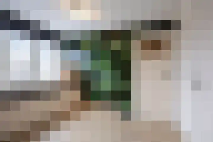 Valendrieseweg 32 Wijchen thumbnail 28