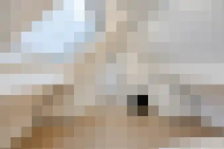 Valendrieseweg 32 Wijchen thumbnail 41