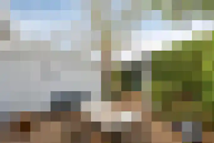 Valendrieseweg 32 Wijchen thumbnail 53