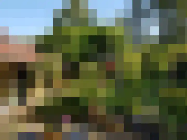 Valendrieseweg 32 Wijchen thumbnail 57