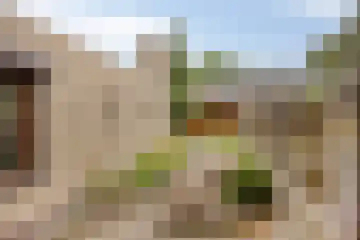 Valendrieseweg 34 A Wijchen thumbnail 39