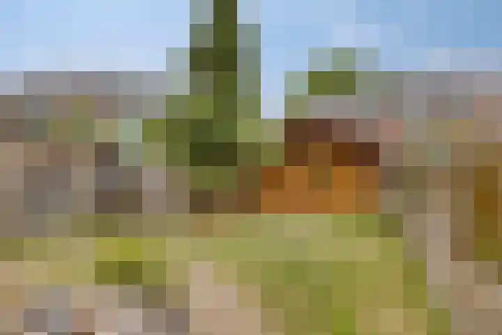 Valendrieseweg 34 A Wijchen thumbnail 40