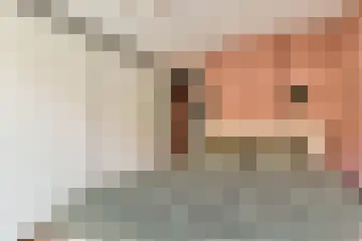 Valentijnkade 55 A Amsterdam thumbnail 14