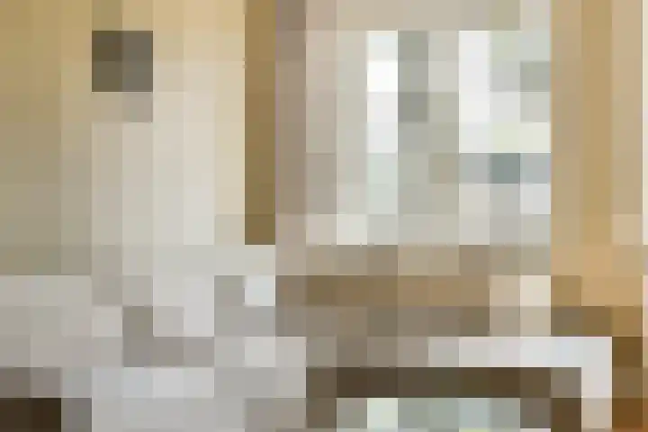 Valentijnkade 55 A Amsterdam thumbnail 5