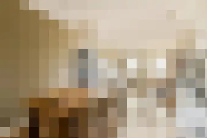 Valentijnkade 55 A Amsterdam thumbnail 8