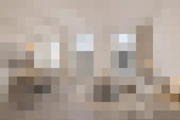 Valepoort 4 1 Arnhem thumbnail 8