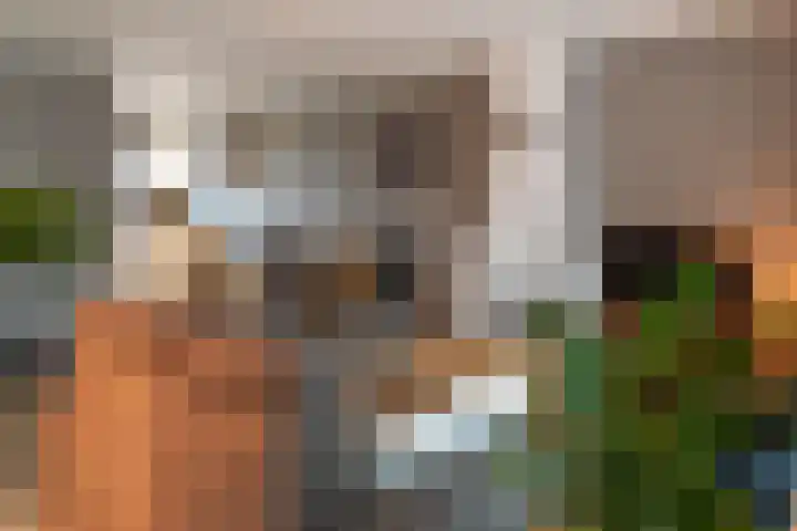 Valeriaan 18 Gendringen thumbnail 11