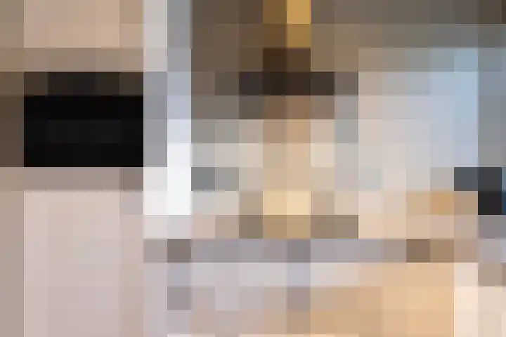 Valeriaan 18 Gendringen thumbnail 13