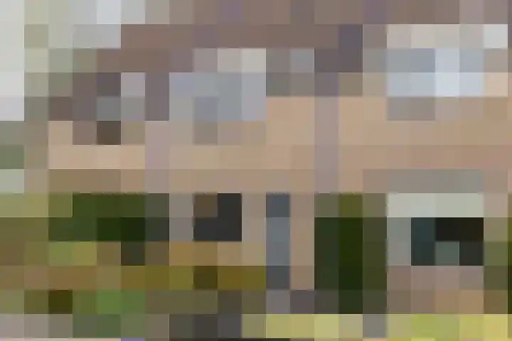 Valeriaan 18 Gendringen thumbnail 4