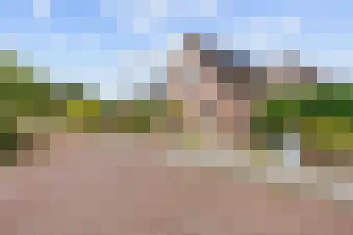 Valeriaan 28 Marum thumbnail 11