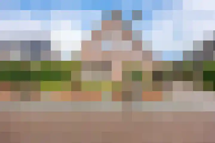 Valeriaan 28 Marum thumbnail 12