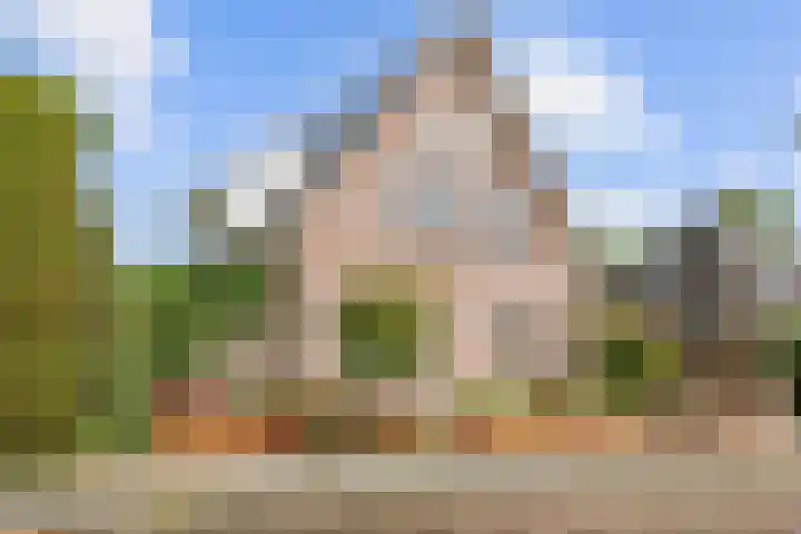 Valeriaan 28 Marum thumbnail 13