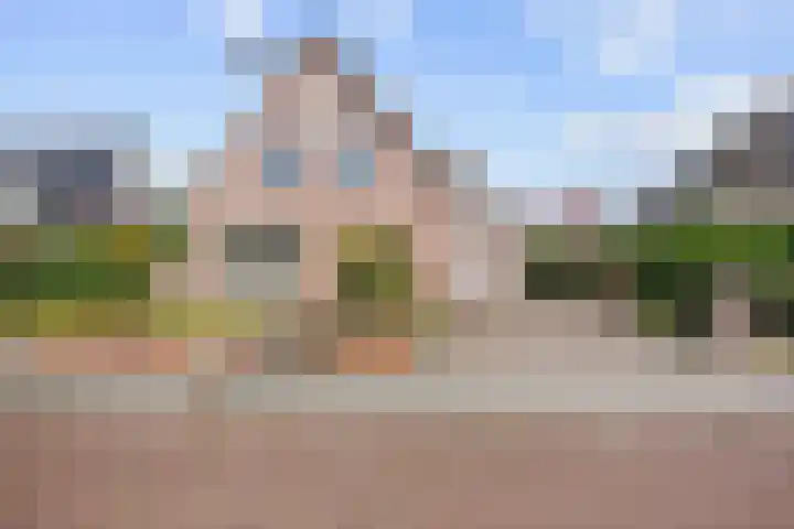 Valeriaan 28 Marum thumbnail 16