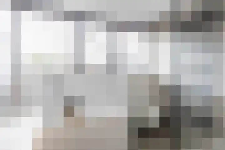 Valeriaan 28 Marum thumbnail 4