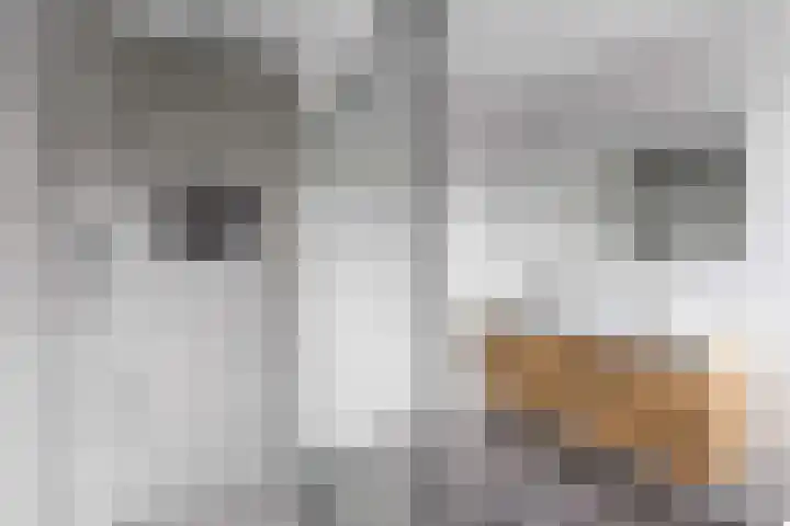 Valeriaan 28 Marum thumbnail 48