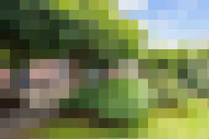 Valeriaan 28 Marum thumbnail 55