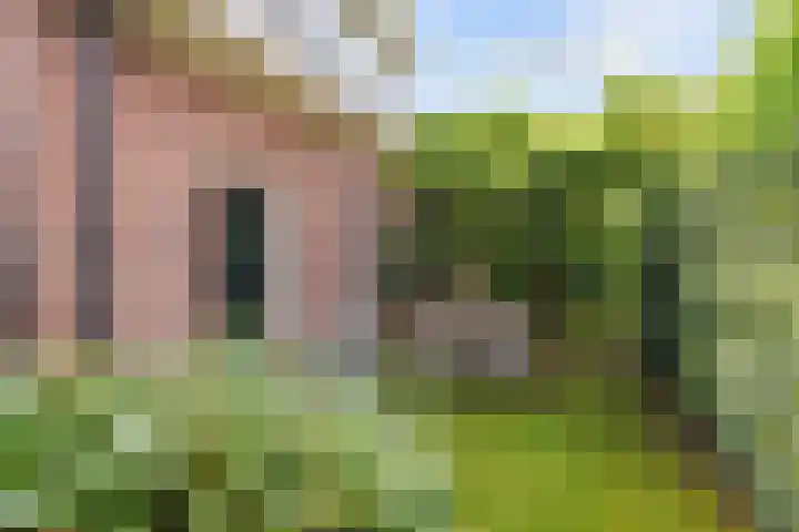 Valeriaan 28 Marum thumbnail 56