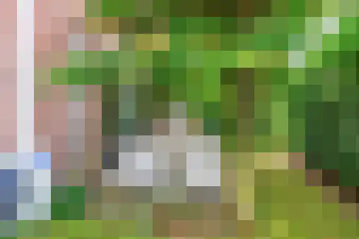 Valeriaan 28 Marum thumbnail 59