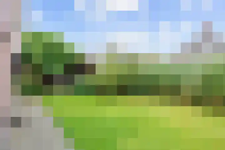 Valeriaan 28 Marum thumbnail 60