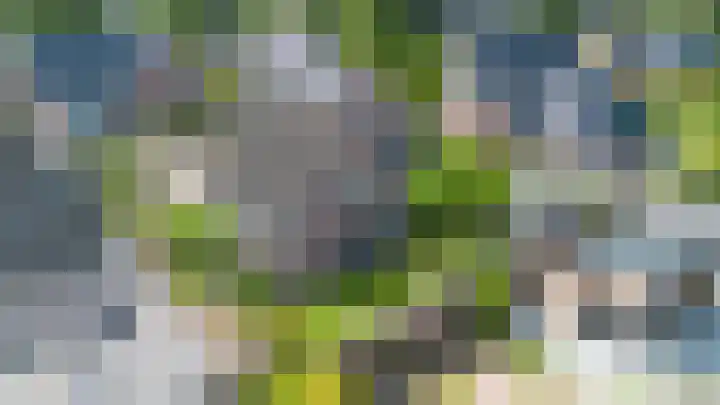 Valeriaan 28 Marum thumbnail 61