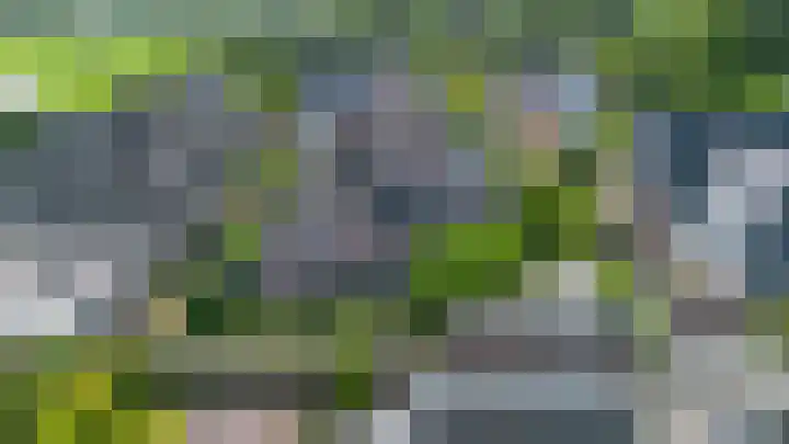 Valeriaan 28 Marum thumbnail 62