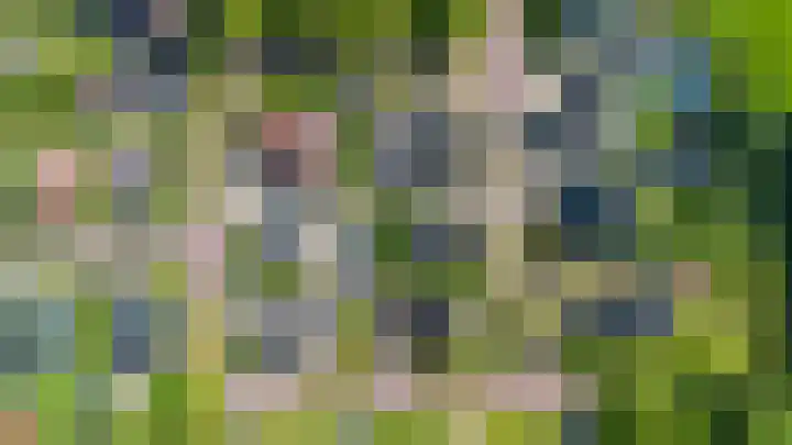 Valeriaan 28 Marum thumbnail 64