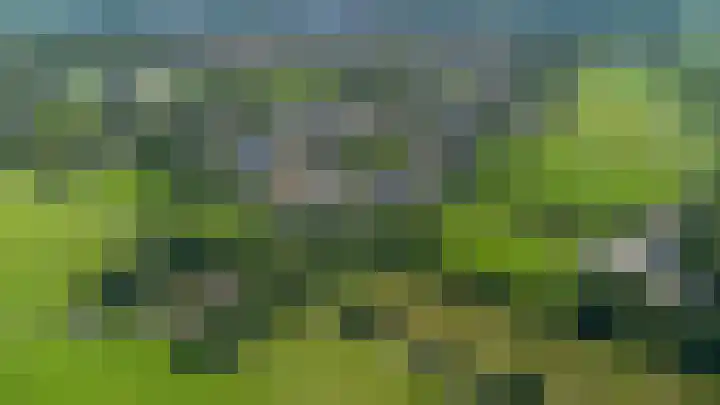 Valeriaan 28 Marum thumbnail 65