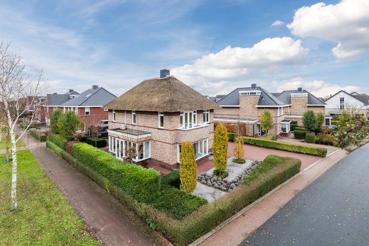 Valeriaan 29 in Meppel